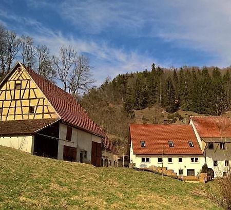 Mühlenchalet Villa Gundershofen Exterior foto