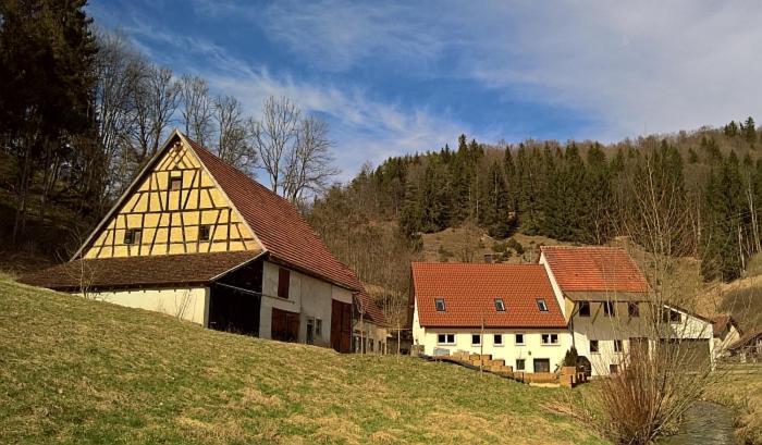 Mühlenchalet Villa Gundershofen Exterior foto